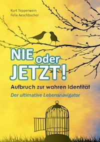 Nie oder Jetzt!  Aufbruch zur wahren Identität - Kurt Tepperwein - ebook