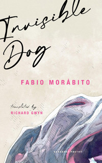 Invisible Dog - Fabio Morábito - ebook