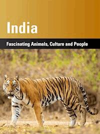 India - Harald Lydorf - ebook