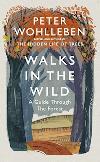 Walks in the Wild - Peter Wohlleben - książka