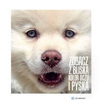 Zobacz z bliska kolor oczu i pyska - Jacobson Kasia - książka