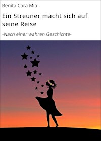 Ein Streuner macht sich auf seine Reise - Benita Cara Mia - ebook