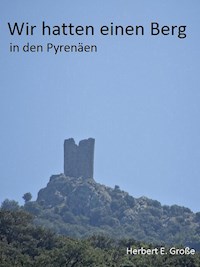 Wir hatten einen Berg in den Pyrenäen - Herbert E. Große - ebook