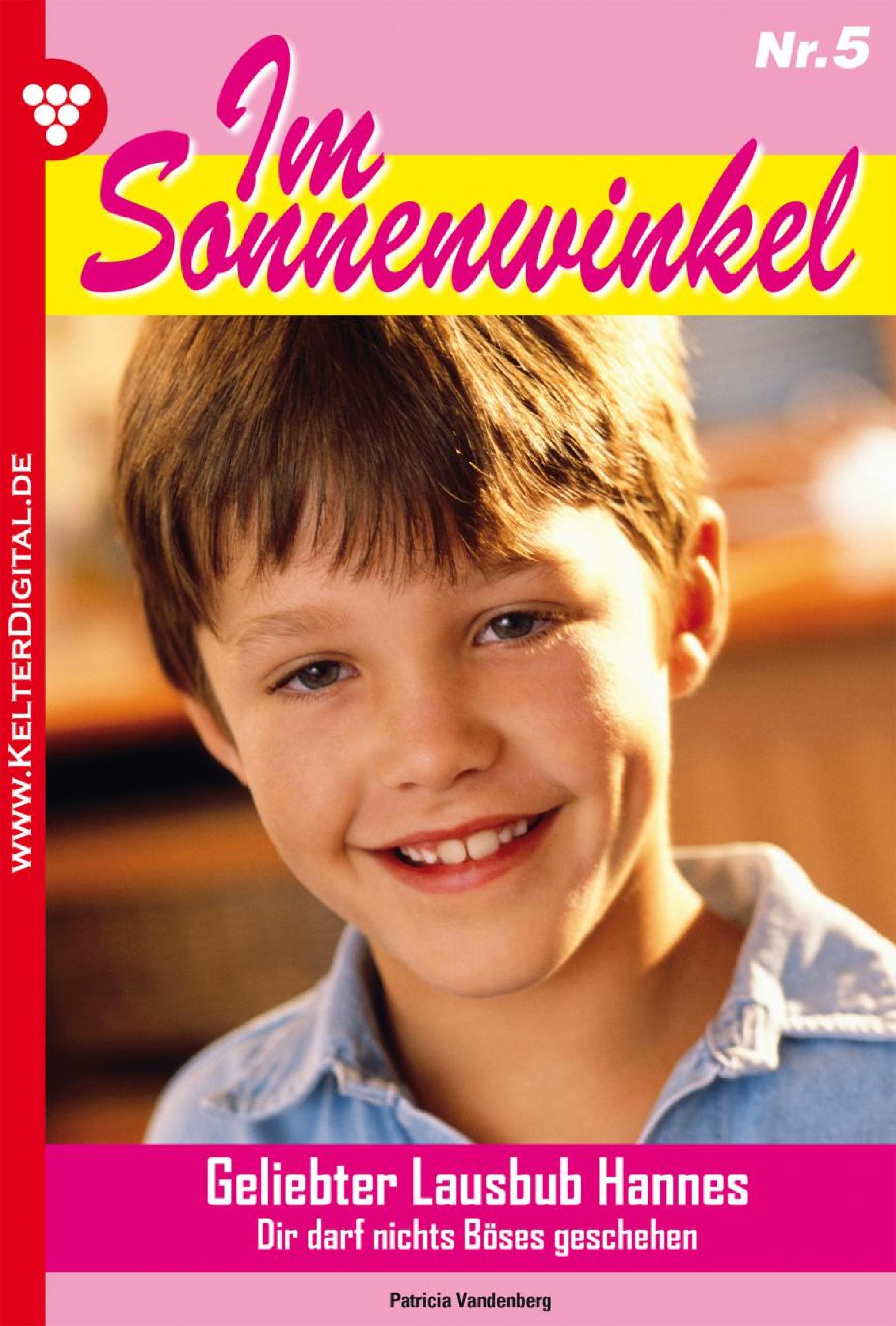 Im Sonnenwinkel 5 – Familienroman