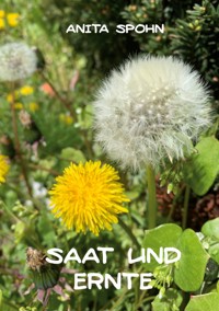 Saat und Ernte - Anita Spohn - ebook