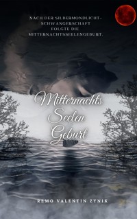 Mitternachtsseelengeburt - Remo Valentin Zynik - ebook