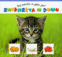 Zwierzęta w domu Quiz malucha -  - książka