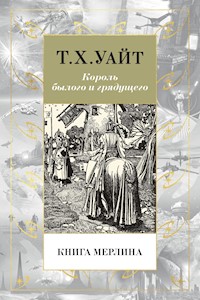 Книга Мерлина - Т. Х. Уайт - ebook