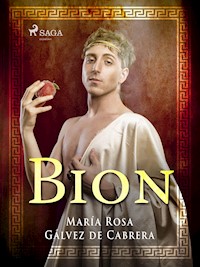 Bion - María Rosa Gálvez de Cabrera - ebook