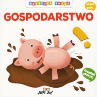 Gospodarstwo. Motoryka smyka - Benedetta Nigelli - książka