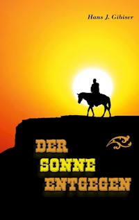 Der Sonne entgegen - Hans J. Gibiser - ebook
