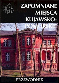 Zapomniane miejsca kujawsko-pomorskie - Stochmal Tomasz - książka
