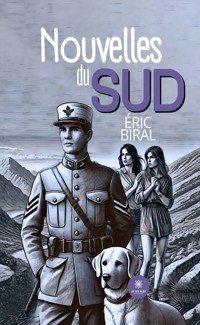 Nouvelles du Sud - Eric Biral - ebook
