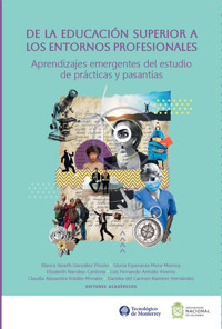 De la educación superior a los entornos profesionales - Blanca Yaneth González Pinzón - ebook