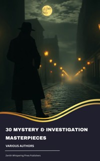 30 Mystery & Investigation masterpieces - Akutagawa Ryunosuke - ebook