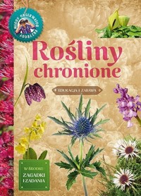 Młody Obserwator Przyrody. Rośliny chronione - Hanna Będkowska - książka