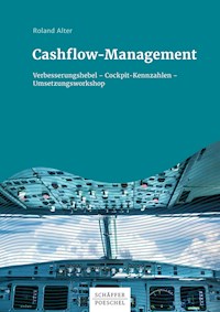 Cashflow-Management - Roland Alter - ebook