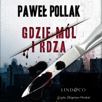 Gdzie mól i rdza - Paweł Pollak - ebook + audiobook