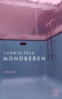 Mondbeben - Ludwig Fels - ebook