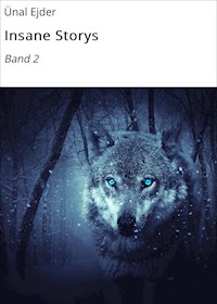 Insane Storys - Ünal Ejder - ebook