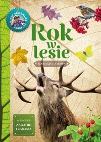 Rok w lesie - Gil Wojciech - książka
