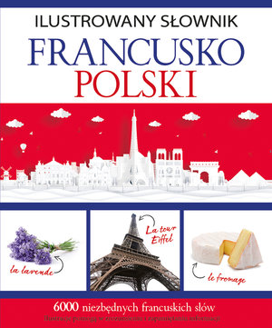 Ilustrowany słownik francusko-polski - Tadeusz Woźniak - książka