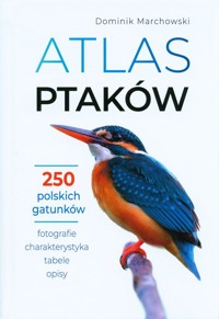 Atlas ptaków - Dominik Marchowski - książka