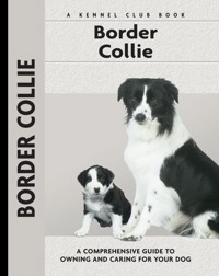 Border Collie - Stephen Sussam - ebook
