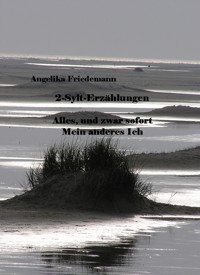 2-Sylt-Erzählungen - Angelika Friedemann - ebook