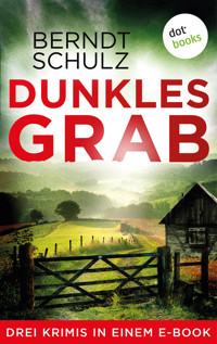 Dunkles Grab - Berndt Schulz - ebook