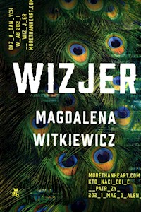 Wizjer - Magdalena Witkiewicz - książka
