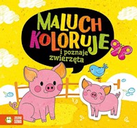 Maluch koloruje i poznaje zwierzęta -  - książka