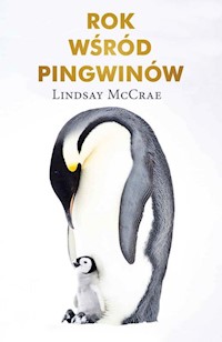 Rok wśród pingwinów - McCrae Lindsay - książka