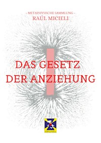 Das Gesetz Der Anziehung - Raúl Micieli - ebook