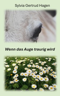 Wenn das Auge traurig wird - Sylvia Gertrud Hagen - ebook