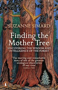 Finding the Mother Tree - Simard Suzanne - książka