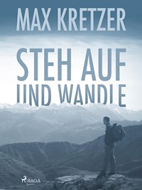 Steh auf und wandle - Max Kretzer - ebook