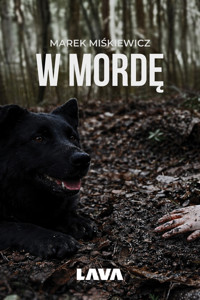 W mordę - Michał Miśkiewicz - książka