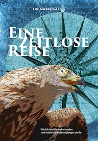 Eine zeitlose Reise - Luc Niebergall - ebook