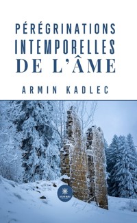 Pérégrinations intemporelles de l’âme - Armin Kadlec - ebook