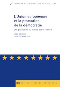 L'Union européenne et la promotion de la démocratie - Leila Mouhib - ebook