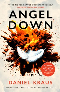 Angel Down - Daniel Kraus - ebook