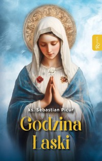 Godzina Łaski - Picur Sebastian - książka