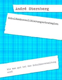 Schuldenkonsolidierungsstrategien - Andre Sternberg - ebook