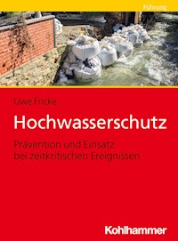 Hochwasserschutz - Uwe Fricke - ebook