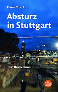 Absturz in Stuttgart - Reiner Strunk - ebook
