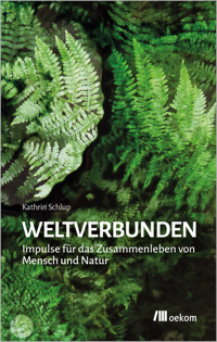 weltverbunden - Kathrin Schlup - ebook