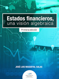 Estados financieros, una visión algebraica - José Luis Magueyal Salas - ebook