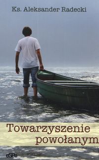 Towarzyszenie powołanym - Radecki Aleksander - książka