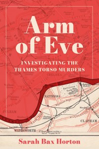 Arm of Eve - Sarah Bax Horton - ebook